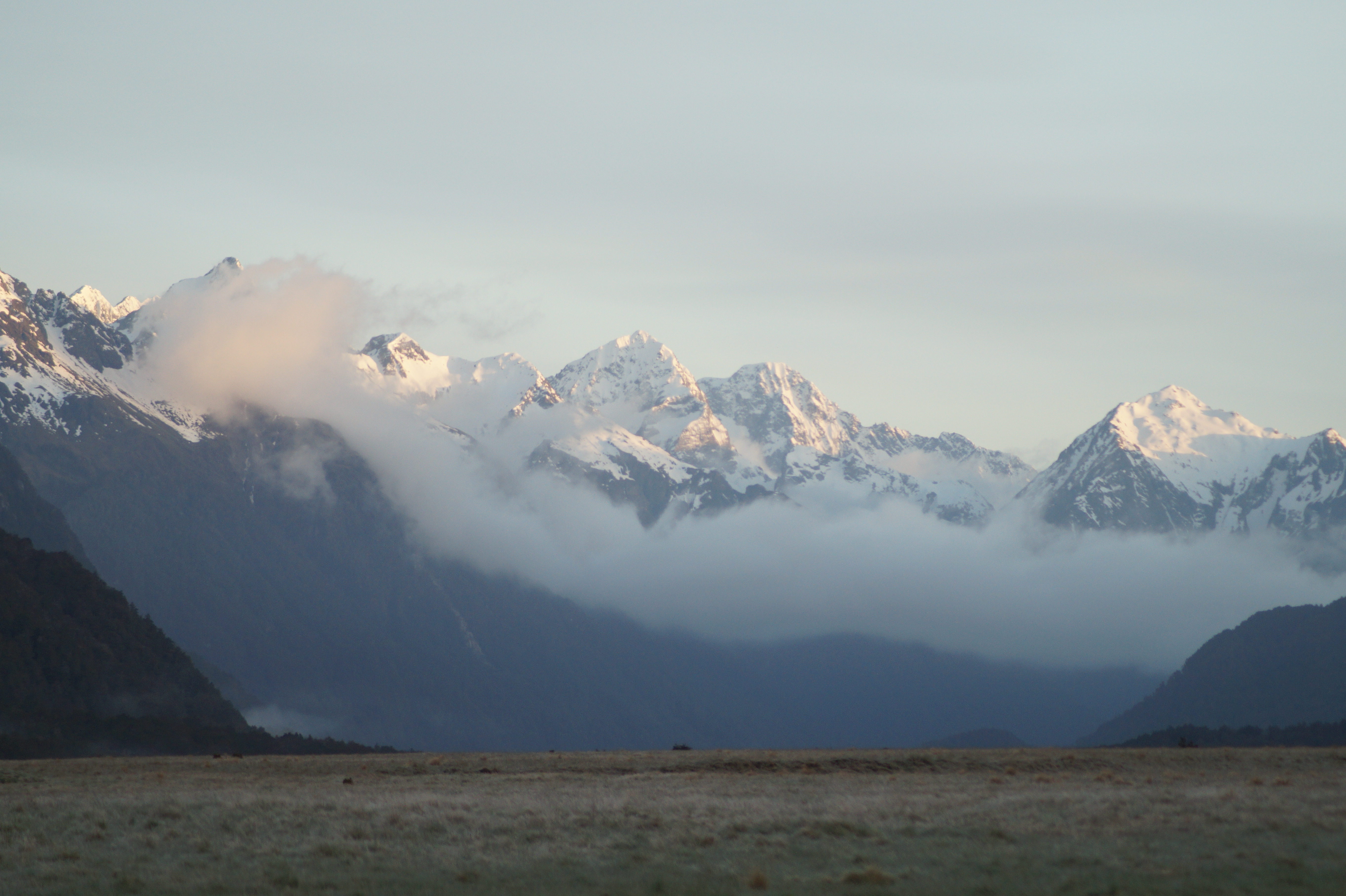 Neuseeland wie man es sich vorstellt