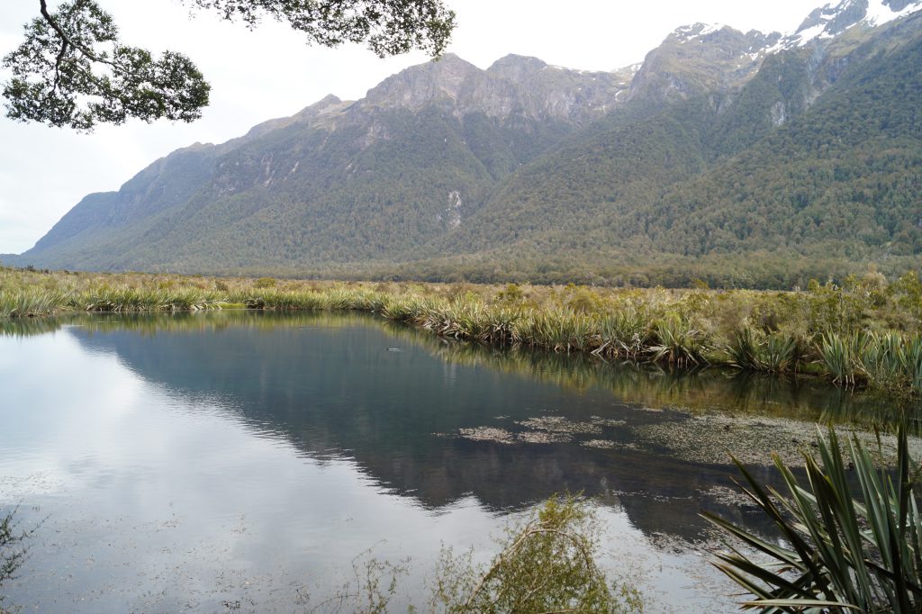 Mirror Lakes