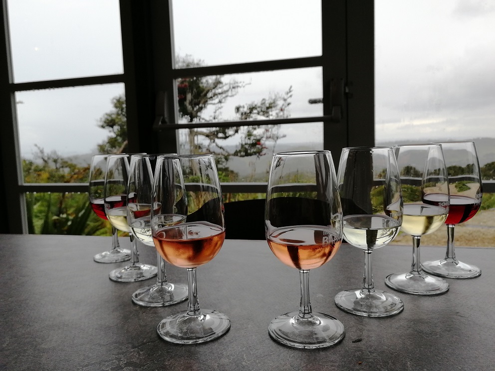 Weinprobe auf Waiheke Island auf der Nordinsel von Neuseeland