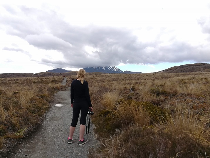 Blick auf den Tongariro auf der Nordinsel von Neuseeland