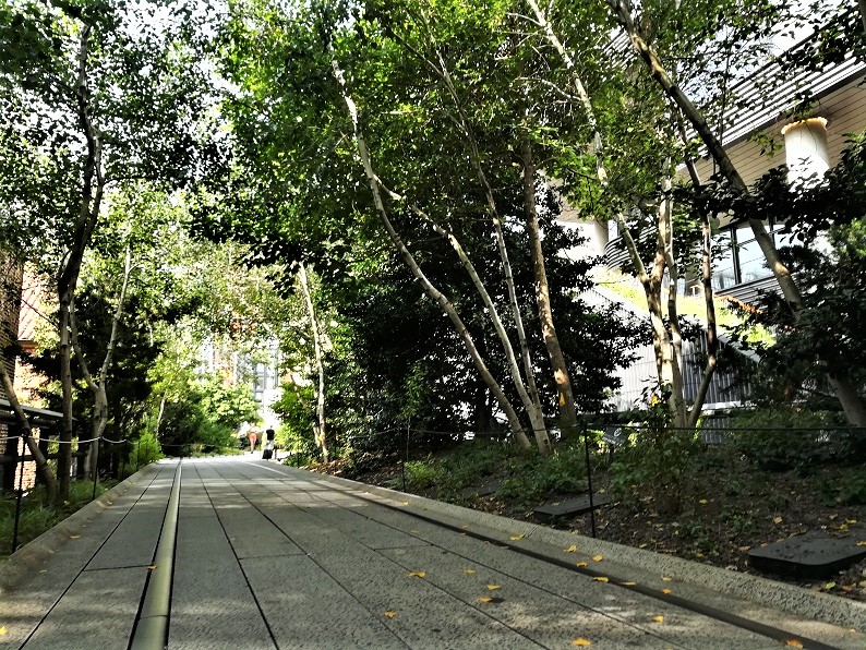 Die High Line eines unserer New York Highlights