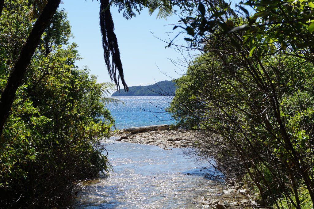 Ship's Cove auf dem Weg zum im Queen Charlotte Track