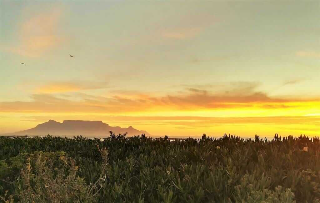 Blick auf den Tafelberg in Kapstadt Banner